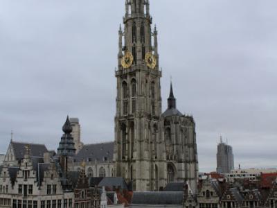 IMG_0245